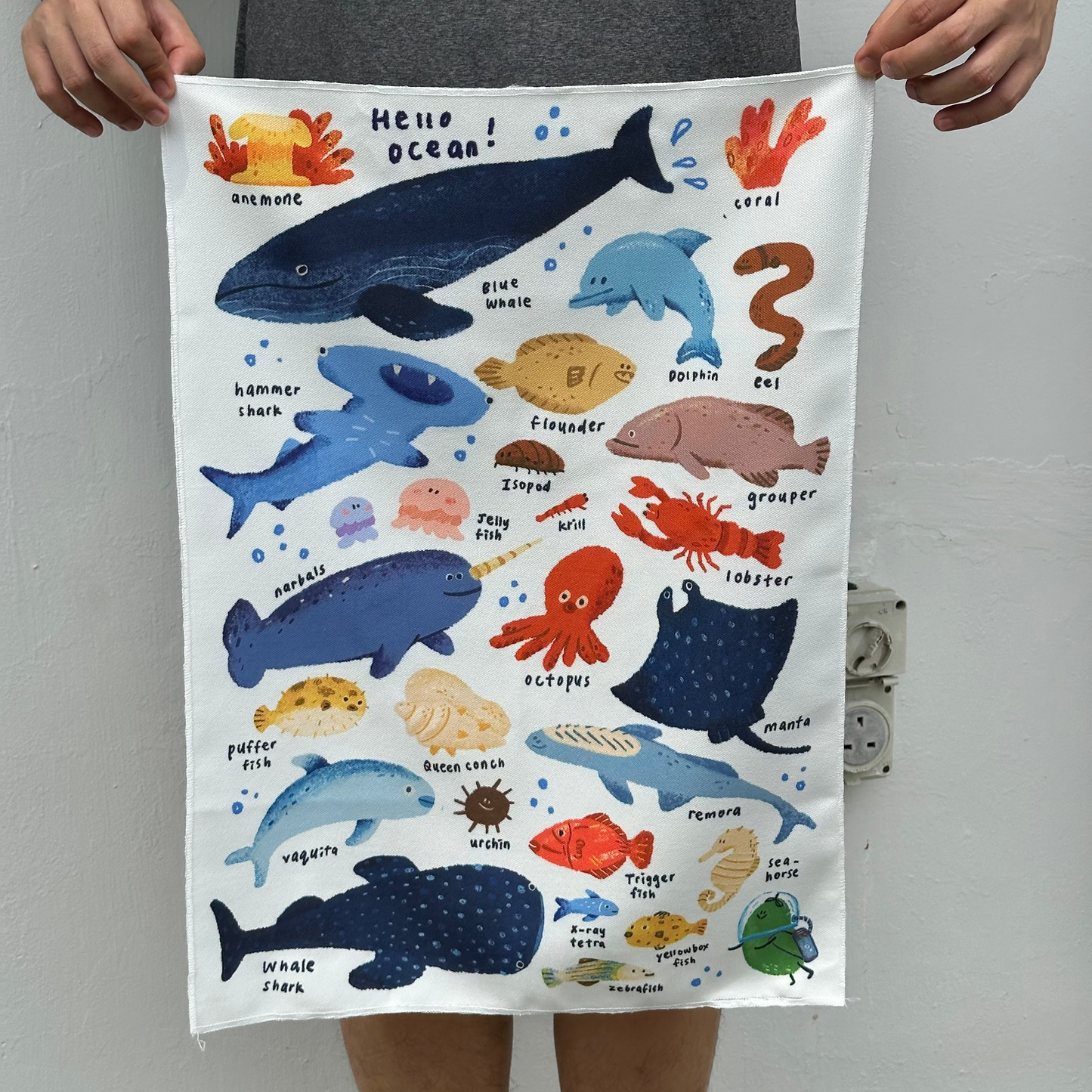 A to Z Ocean Cloth Poster